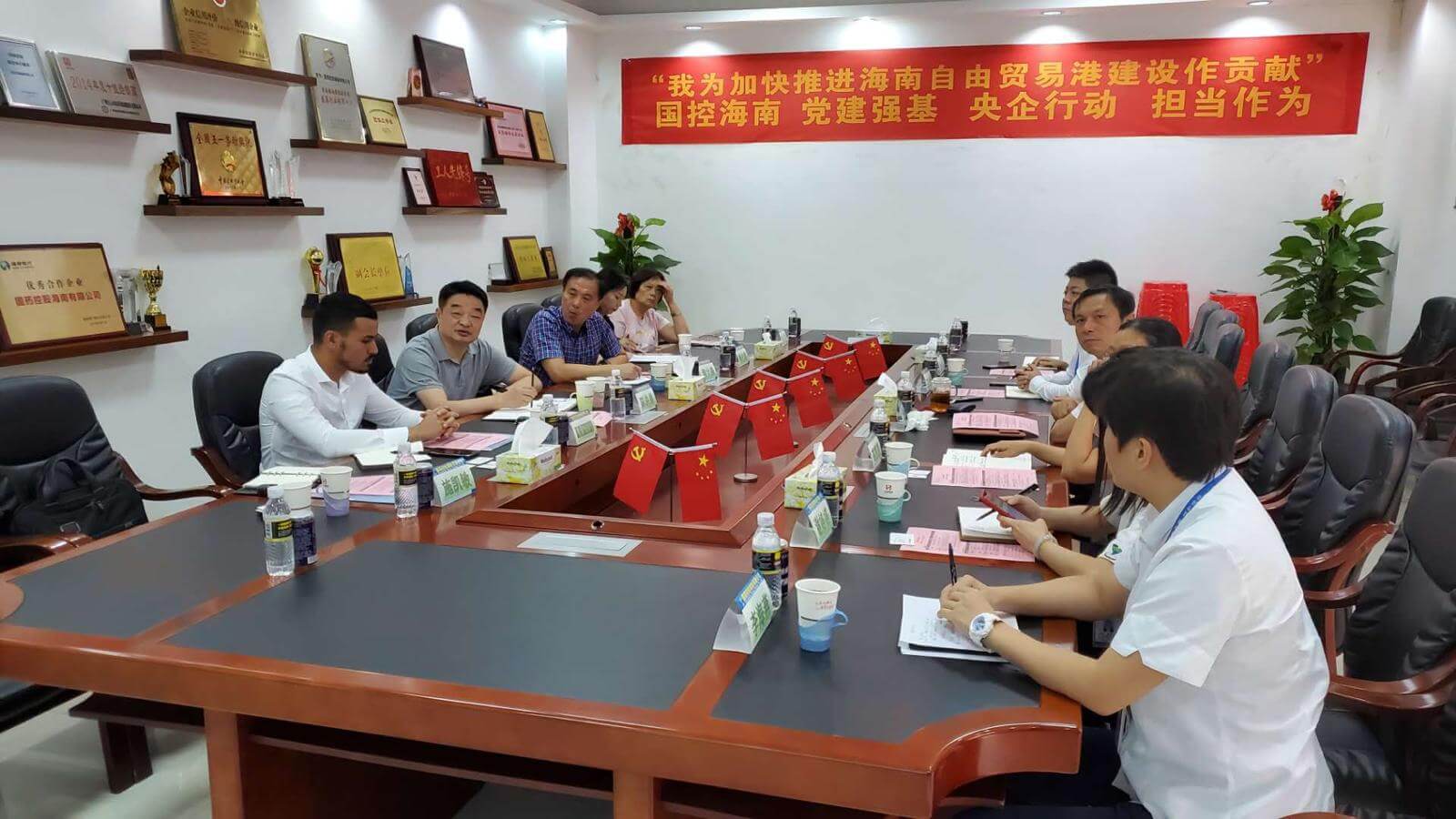 SinoPharm Hainan successfull meeting-